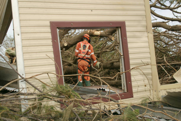 Best Tree and Shrub Care  in Auburn, KY
